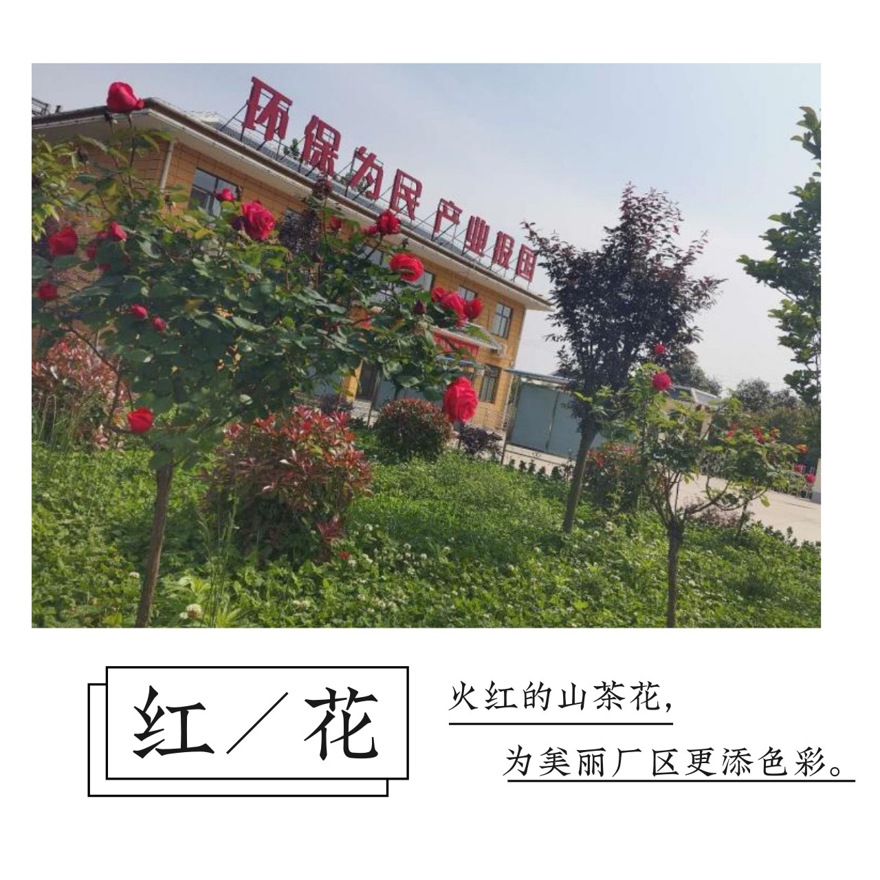 9888拉斯维加斯(中国集团)官方网站
