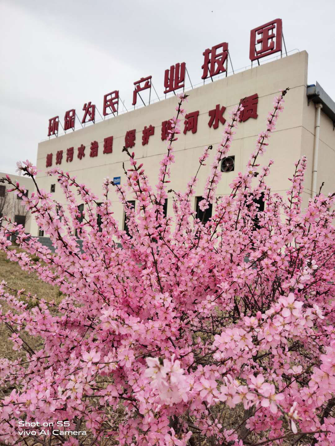 9888拉斯维加斯(中国集团)官方网站